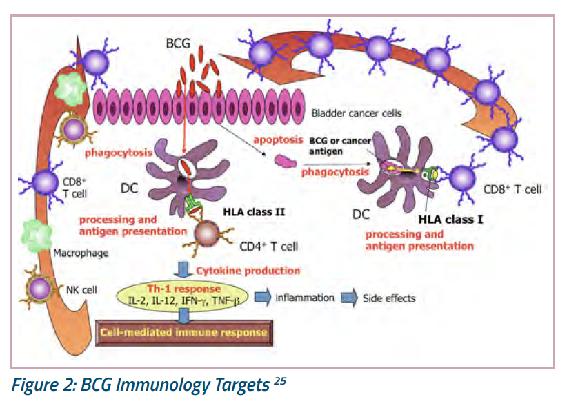 immune-oncology_figure2.png