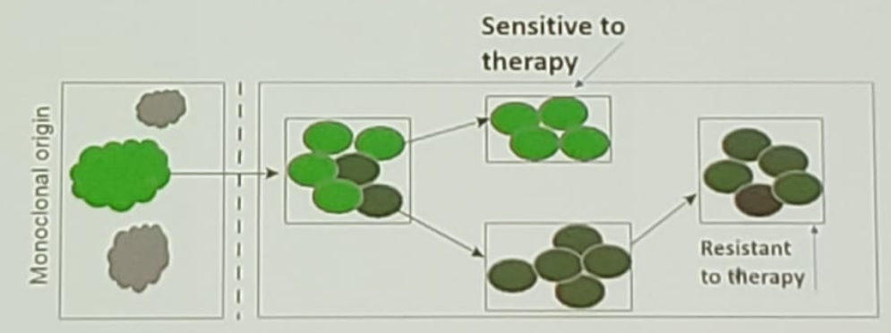 APCCC_resistence_mutations.png