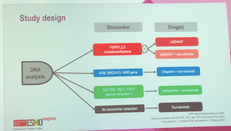 ESMO2019_BISCAY_study-design.png