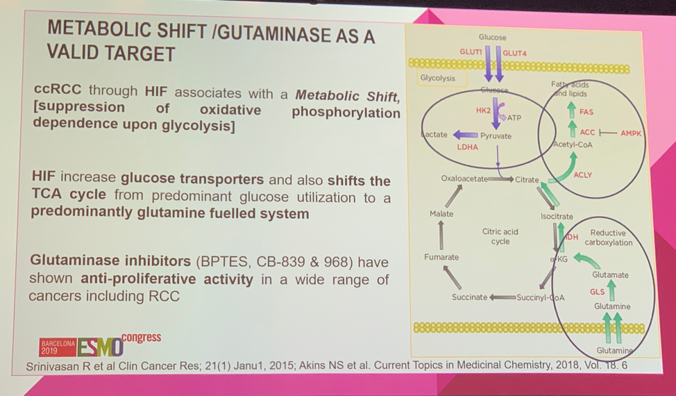 MetabolicShift.png