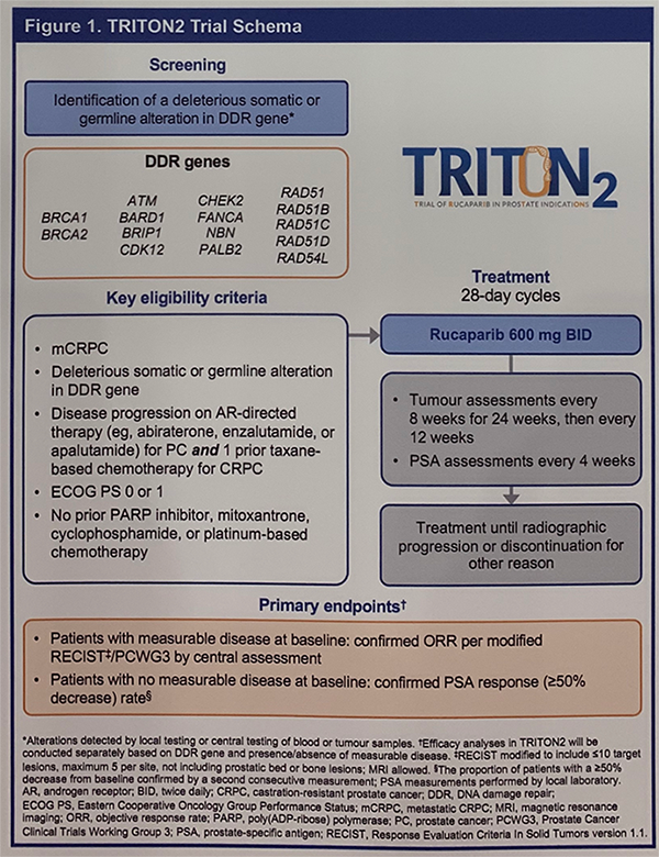 ESMO2019_TRITON_trial.png