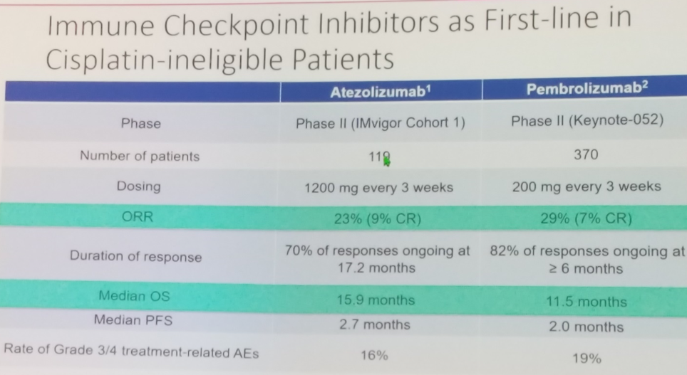 ESMO2019_checkpoint_inhibitors.png