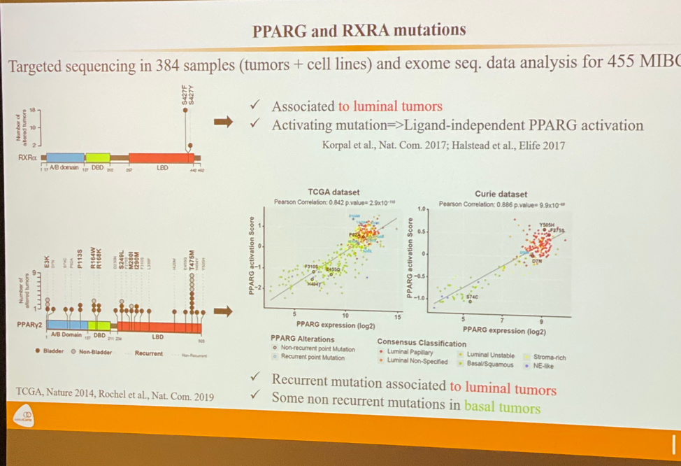 pparg and rxra mutations