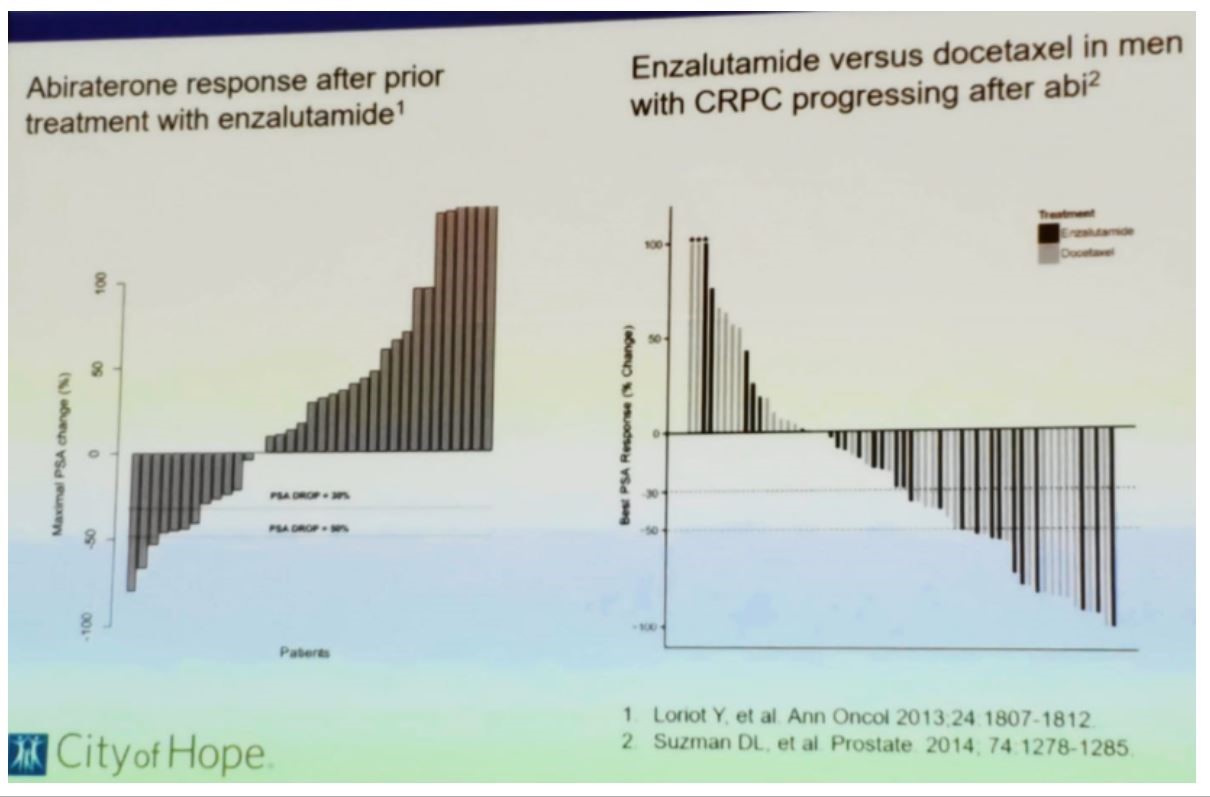 Snmmi 2019 Overview Of The Treatment Landscape In Castration Resistant Prostate Cancer 8438